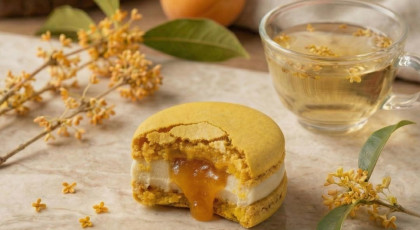 探索 HABIBI 全新馬卡龍系列