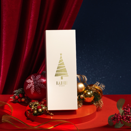 9入聖誕節禮盒